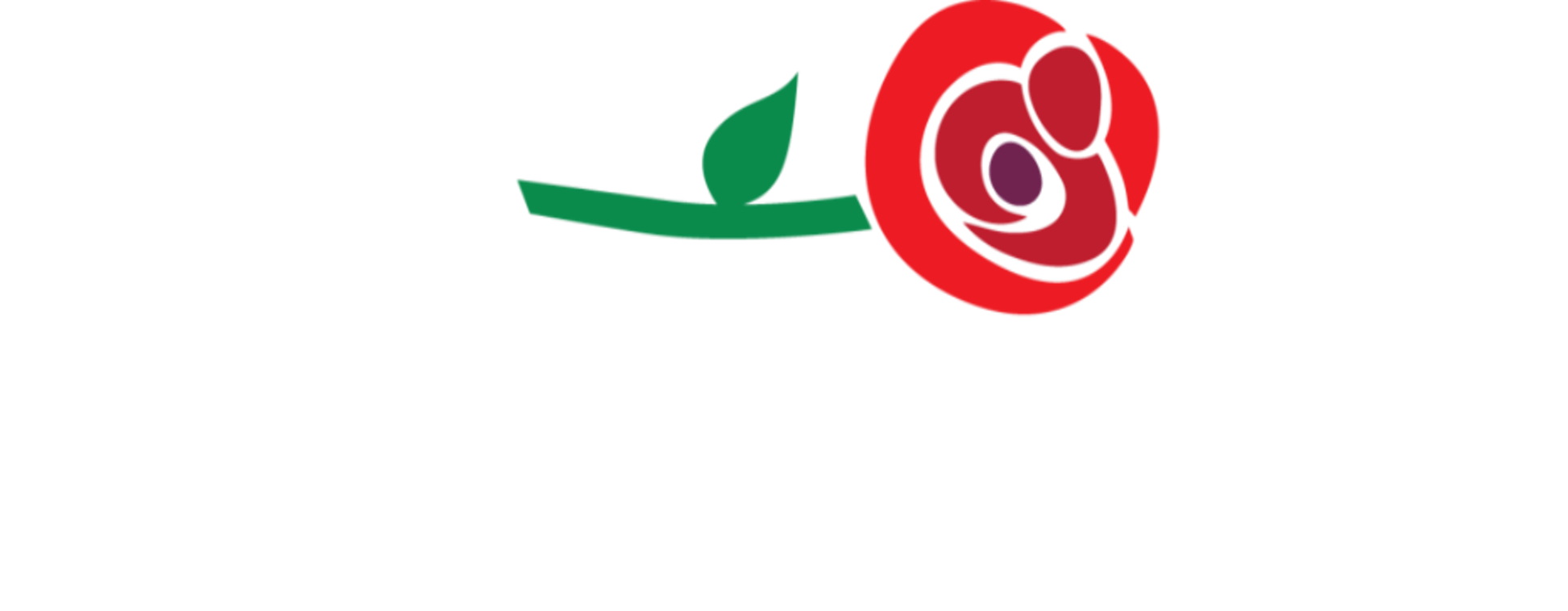 March For Life